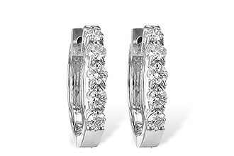 B231-02926: EARRINGS .50 TW