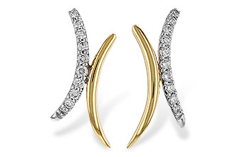 B320-13889: EARRINGS .15 TW