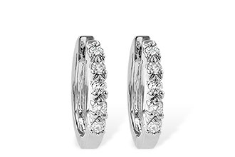C231-02926: EARRINGS .25 TW