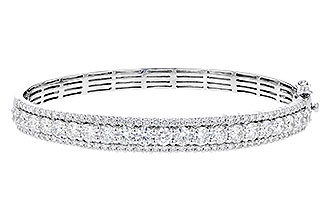 D319-18389: BANGLE 5.60 TW