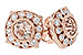 E233-76571: EARR .75 MORGANITE .98 TGW