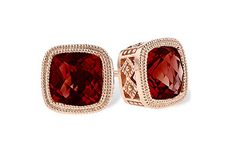 F318-27544: EARR 2.50 TW GARNET