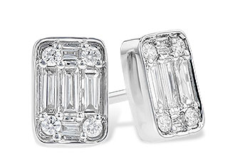 F318-28453: EARR .19 BAG .30 TW
