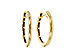G320-16562: GOLD EARRINGS (16MM)